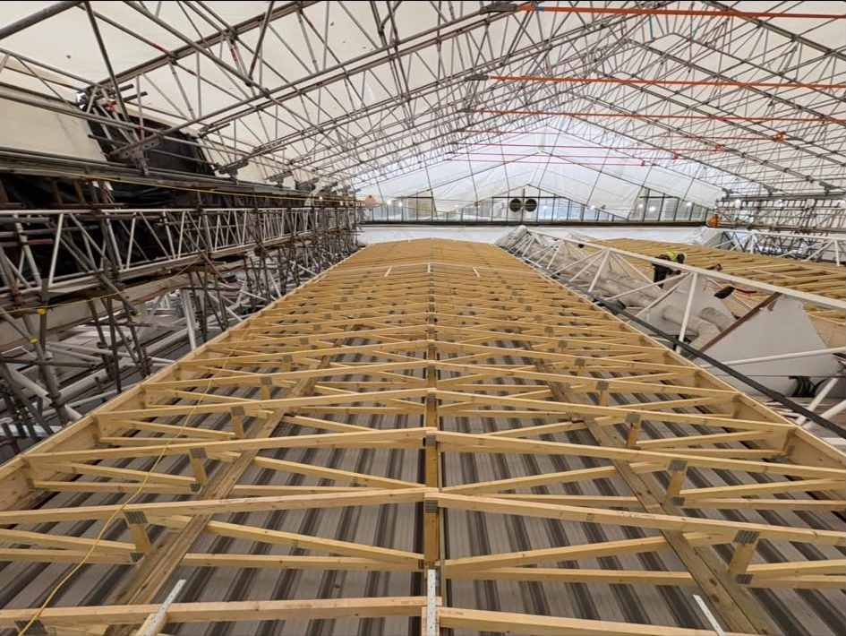 Timber roof structure spanning a steel frame building